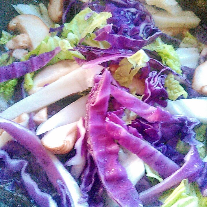 紫キャベツしいたけ白菜の蒸し焼きサラダ